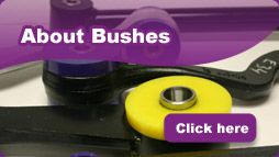 About Bushes