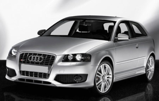 S3 MK2 8P (2006-)