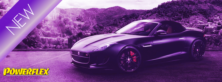 NL2016-17 Jaguar F-Type