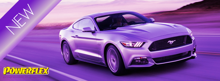NL2016-28 Ford Mustang 2015 on
