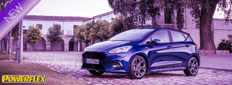 NL2019-11 Ford Fiesta MK8 1.0L Ecoboost