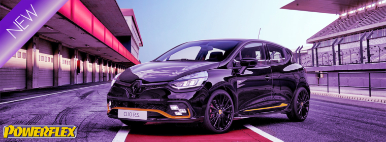 NL2020-31 Renault Clio MK4 inc RS