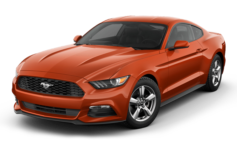 Mustang (2015 -)